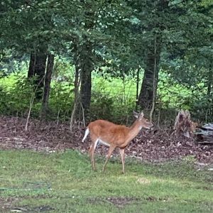 Meet your Posher, Cindy
